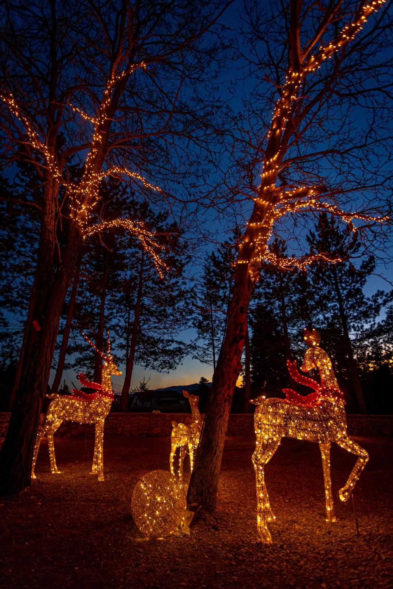 Mz Reindeer 호텔 Kalívia 외부 사진